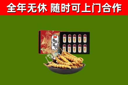 拉孜回收冬虫夏草价格